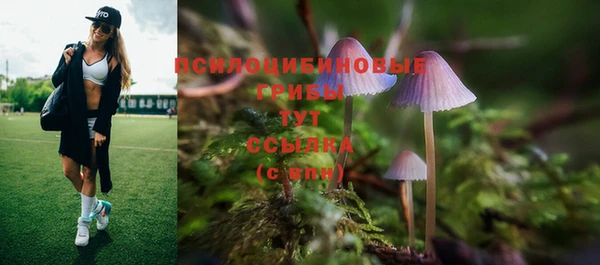 твердый Алзамай