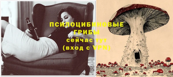 марки lsd Алексеевка