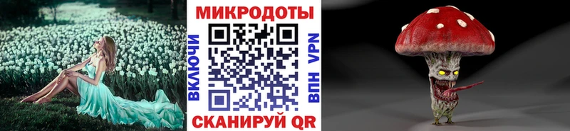 Галлюциногенные грибы Cubensis  Зеленокумск 